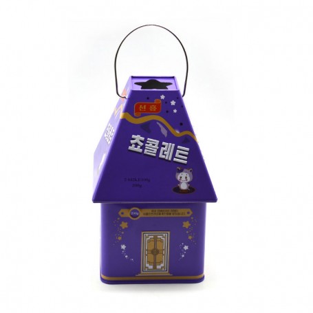 Boîte en fer blanc en forme de maison