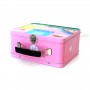 Rectangular Tin Metal Gift Tin Box Handle Lunch Tin with Lock