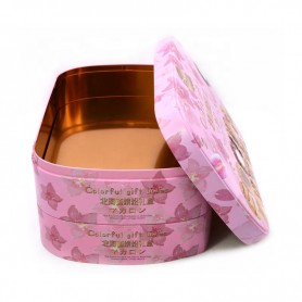 Double layer colorful gift biscuit tin box