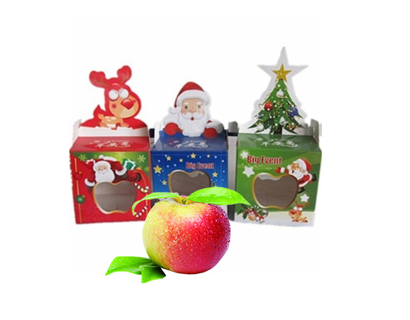 Beautiful Christmas Apple Packaging Tin Box