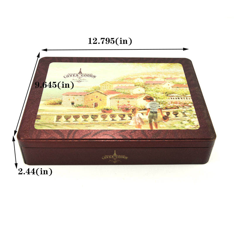 Custom rectangular biscuit tin box size